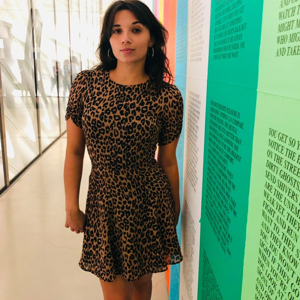 Vintage Reformation leopard dress